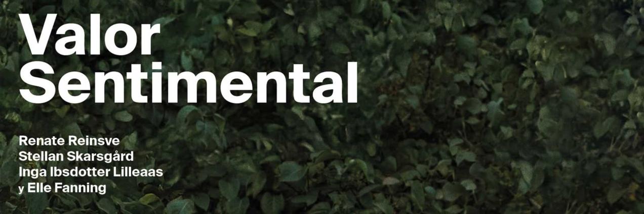 Valor sentimental Cine verano