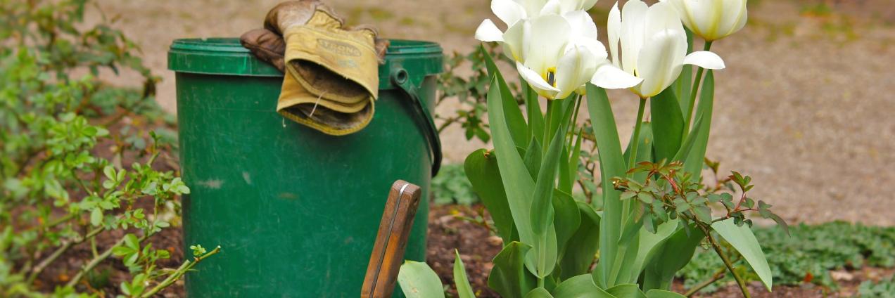 cultivando el jardín