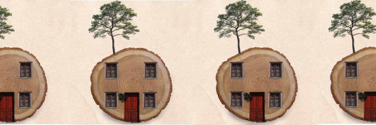 Taller ecotopias