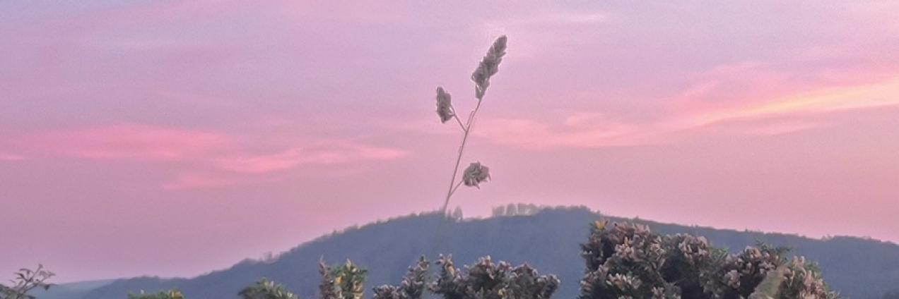 imagen de una fotografía de la exposición de un paisaje de montaña