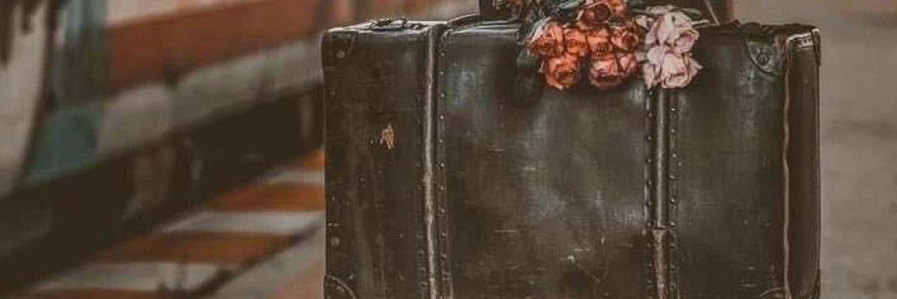 MALETA VIAJERA