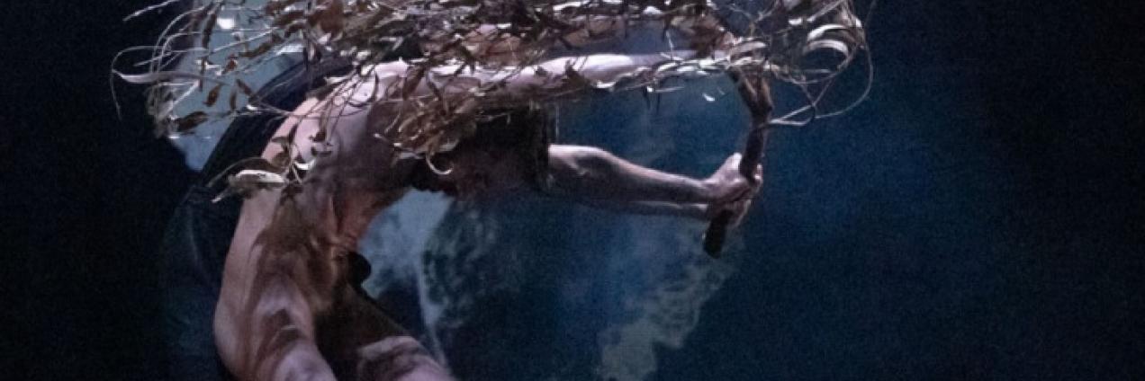 imagen de un bailarín desnudo como agarrando un árbol