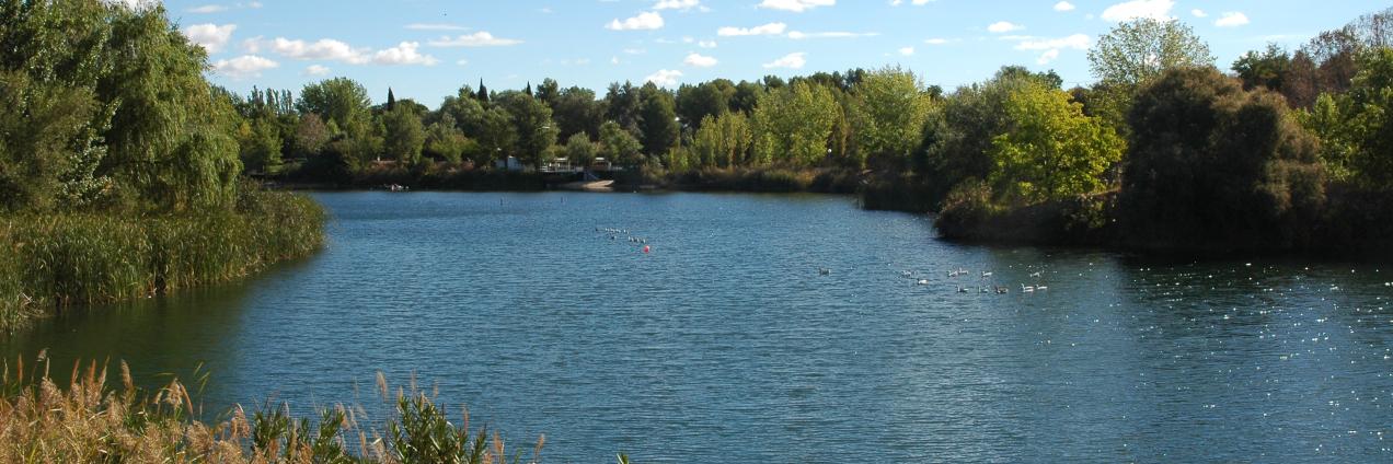 Humedales_Lagunas de las Madres_Arganda