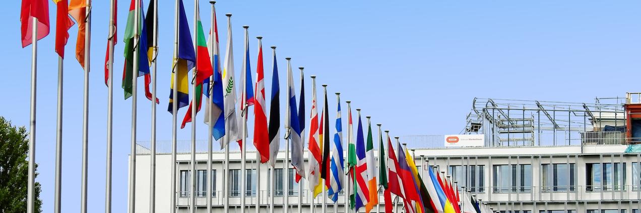 Proyectos europeos e internacionales