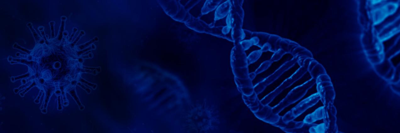 Fundación para la Investigación e Innovación Biomédica de Atención Primaria