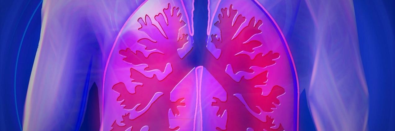 Esquema de los pulmones