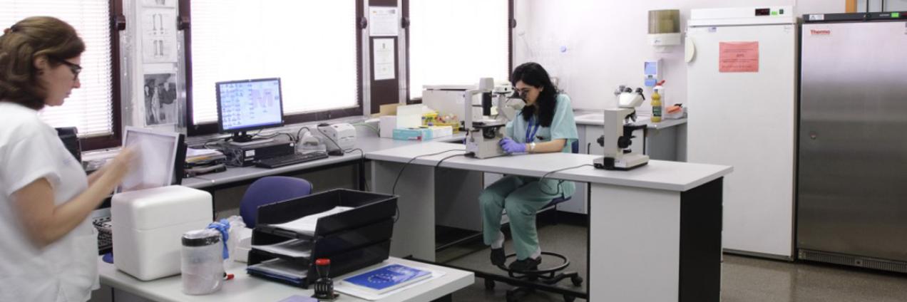 Profesionales del Biobanco del Instituto de Investigación Sanitaria del Hospital de Getafe