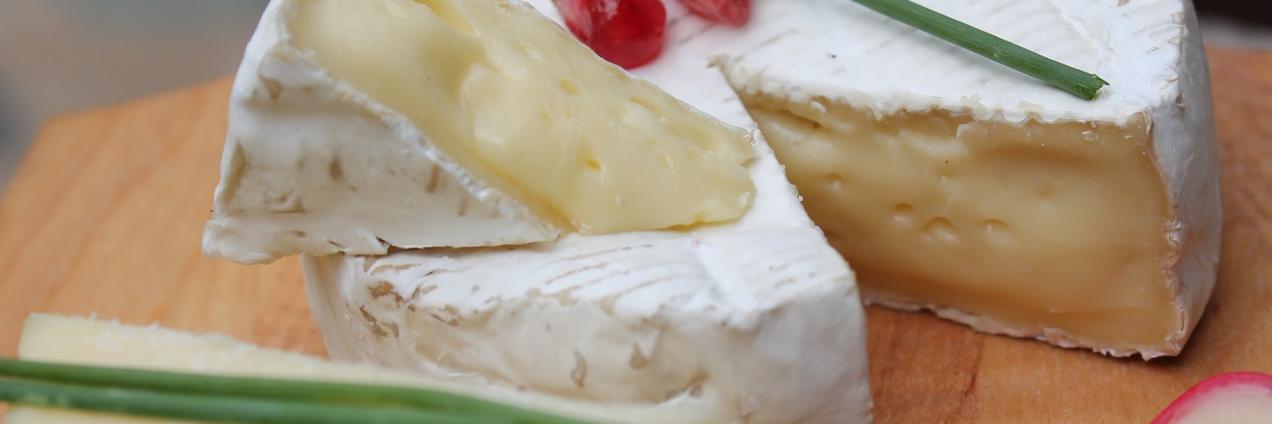 Queso brie