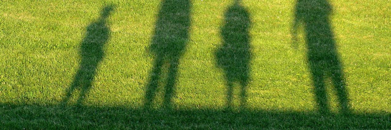 Sombra familia en el campo