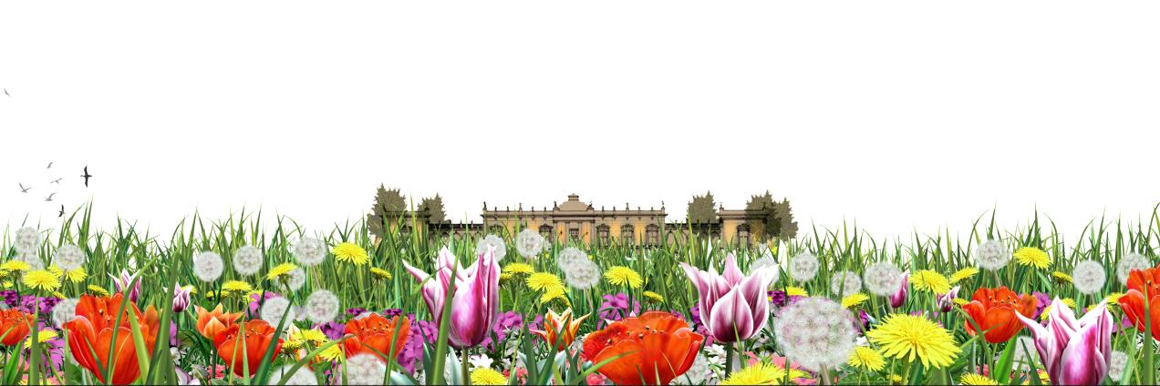 El jardín de Vista Alegre 