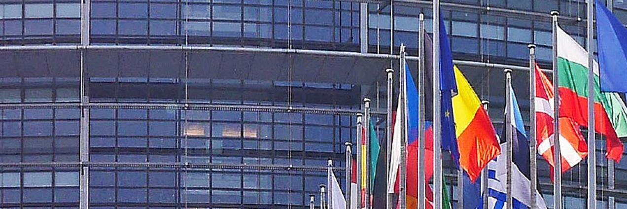 Centro Europeo del Consumidor