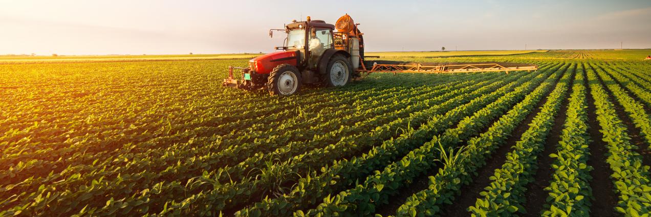 Campo tractor agricultura