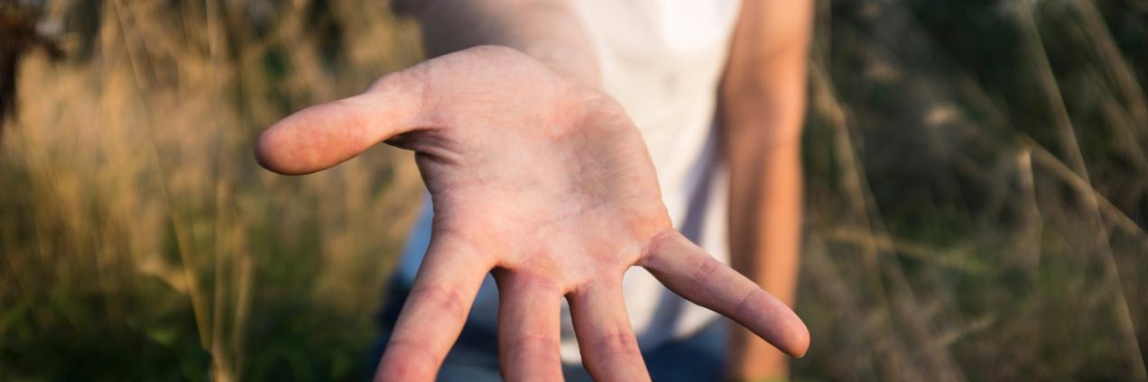 Mano extendida hacia la cámara en un entorno natural al aire libre