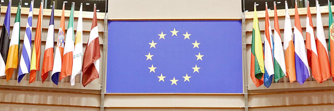 Banderas de los paises miembros de la UE y en el centro la de la UE
