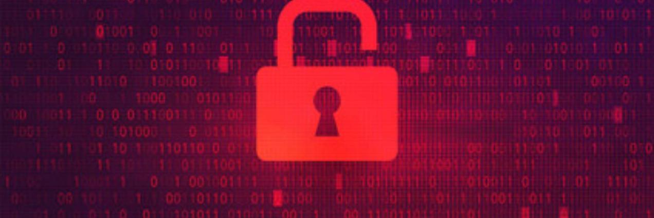 ciber seguridad