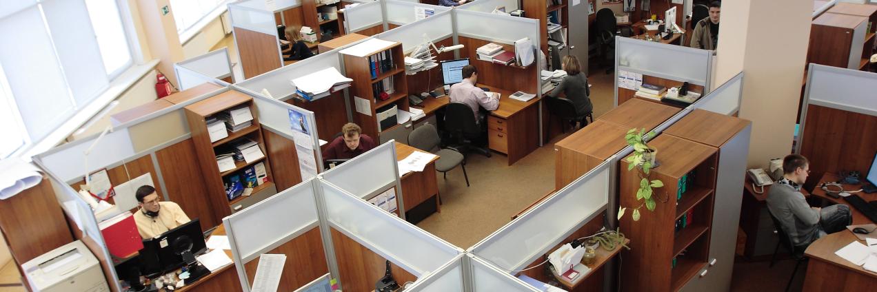gestión empleo