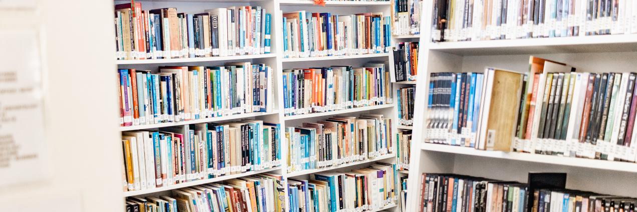 Estanterías con videos y libros
