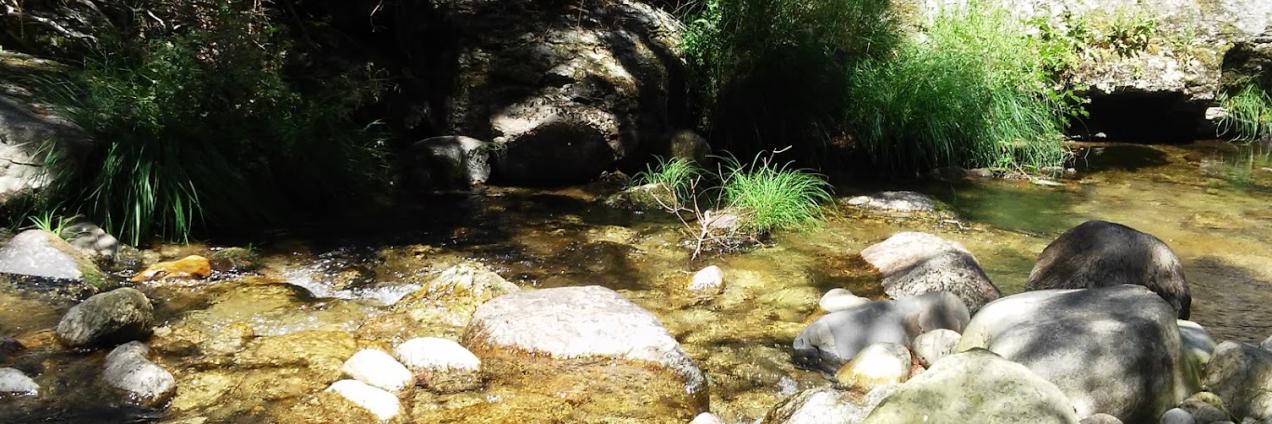 rio lozoya