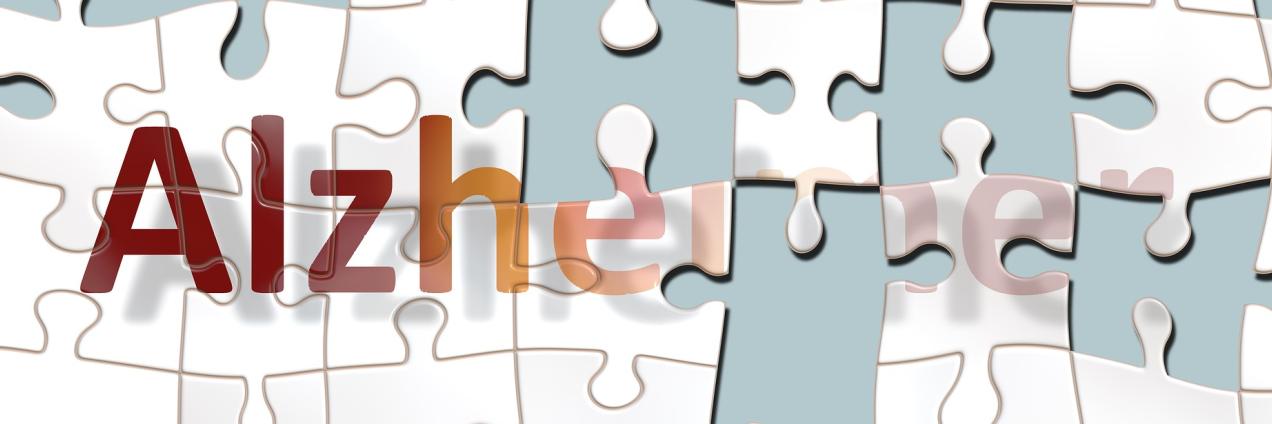 Piezas de puzzle