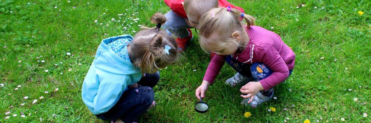 Foto niños botánicos