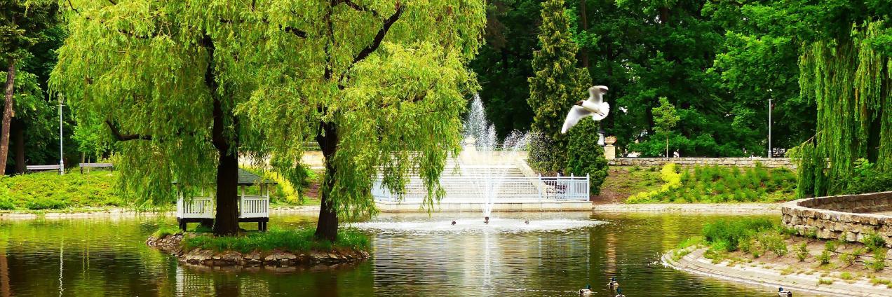 parque con fuente