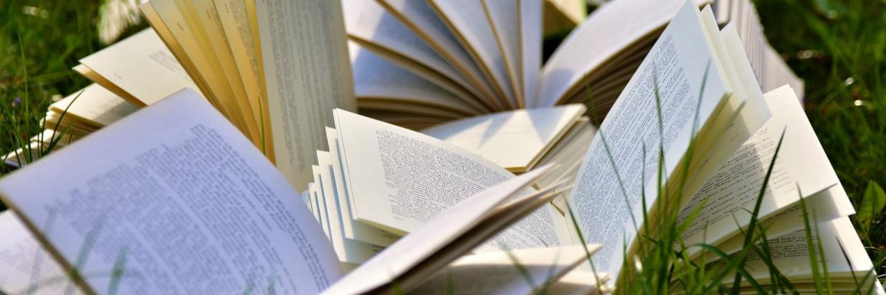 Foto libros