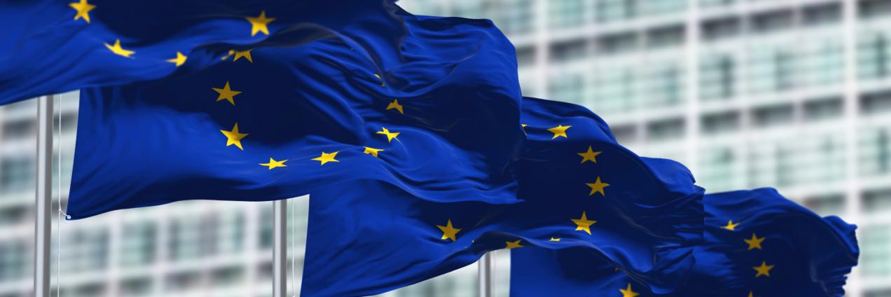 banderas ue