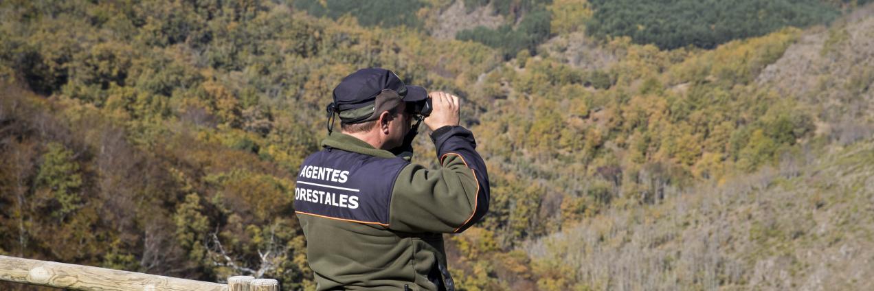Un agente forestal de la Comunidad de Madrid de espaldas en una torre de vigilancia