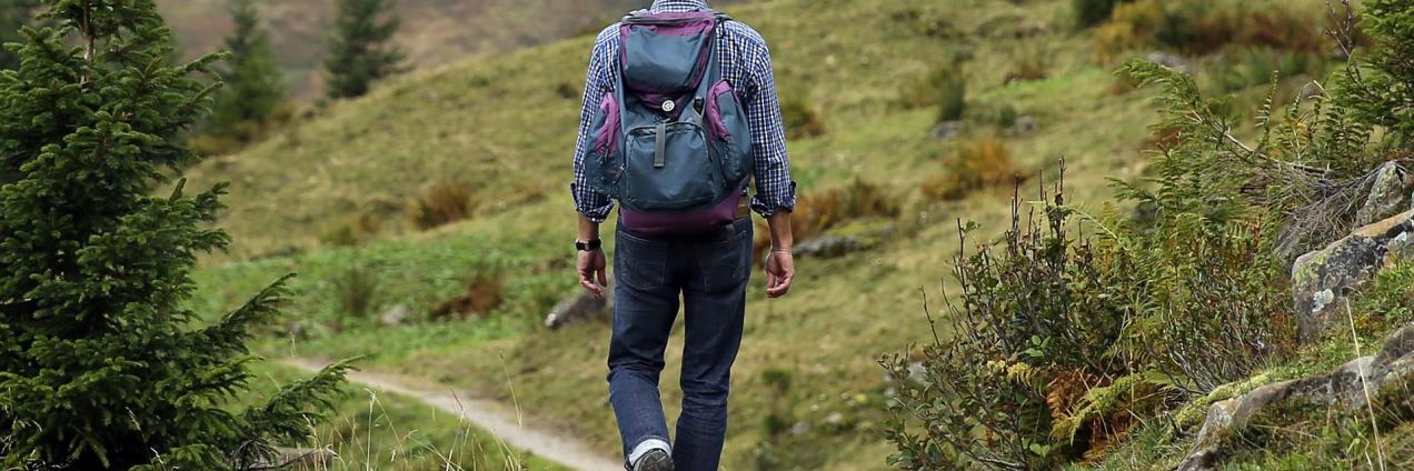 HOMBRE PASEANDO CAMPO