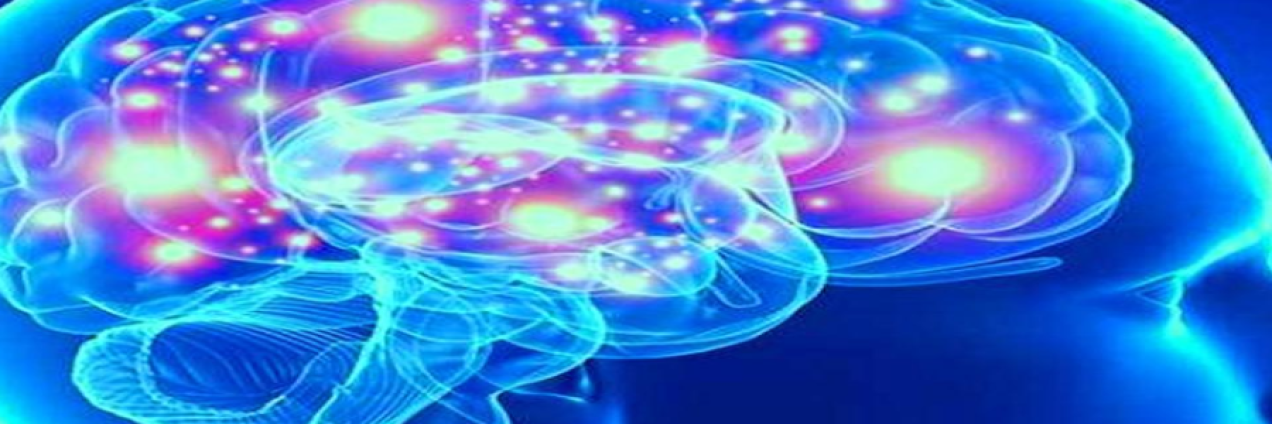 imagen virtual de cráneo con cerebro iluminado