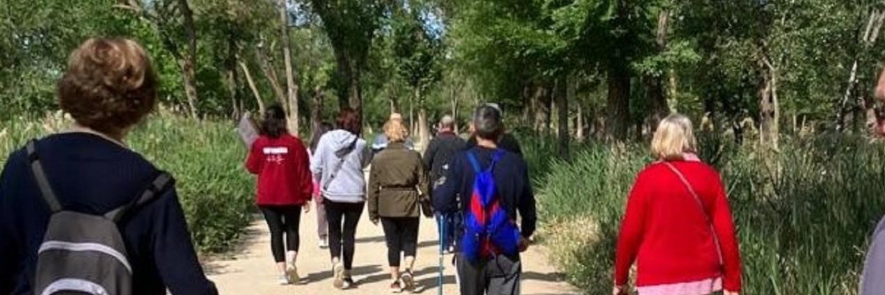 Imagen de personas caminando