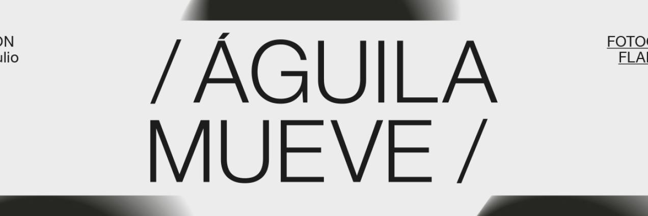 gráfica mueve festival