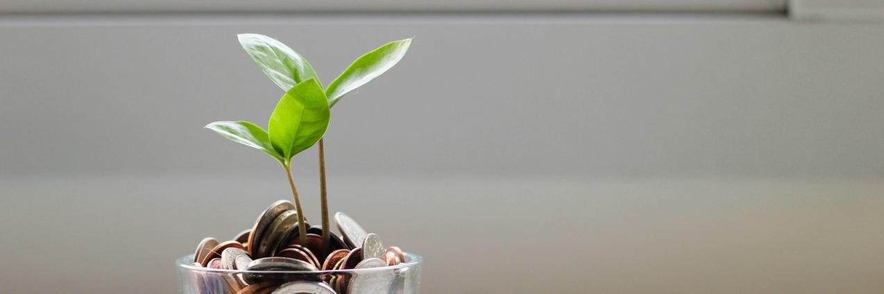 Imagen vaso con monedas y planta