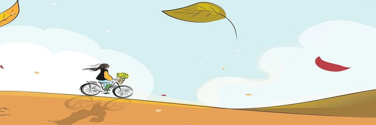 A crazy bike ride