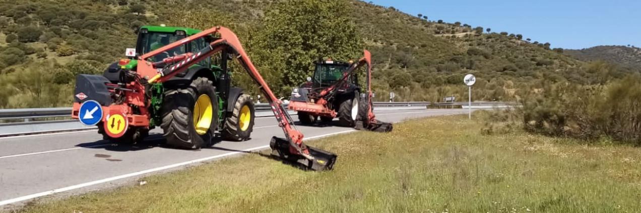 Obreros trabajando en una carretera segando