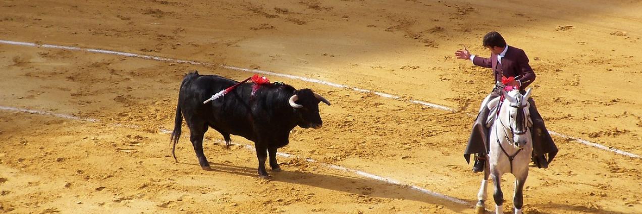 Corrida de toros
