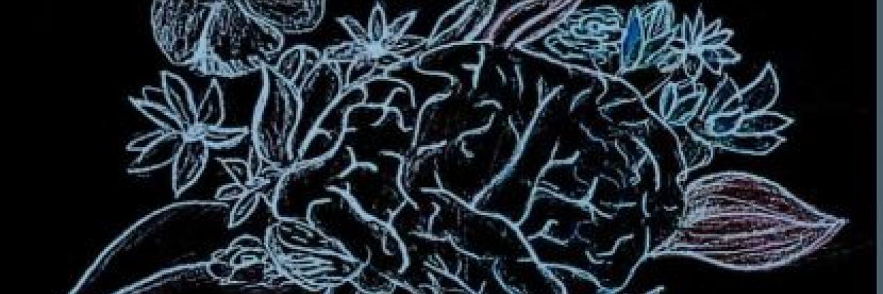 imagen de un cerebro