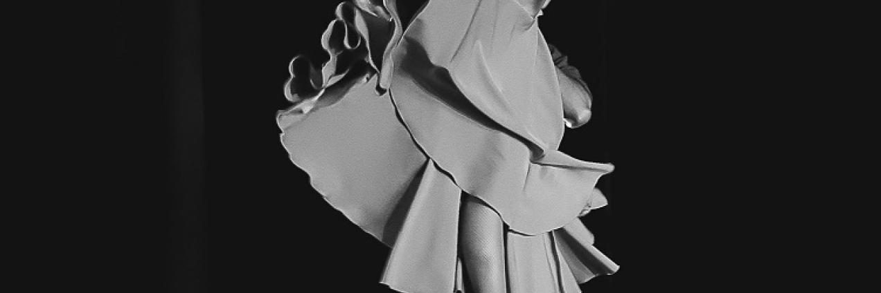 imagen decorativa