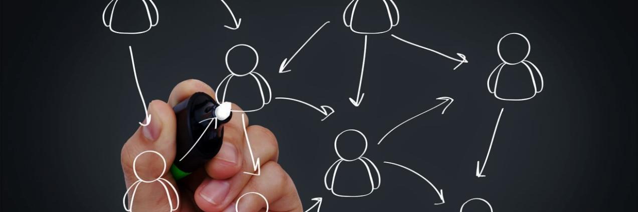 estructura organizativa