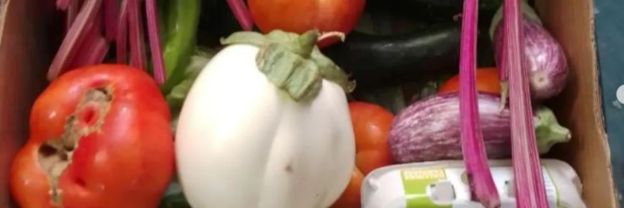 Cesta de productos hortícolas y de huevos