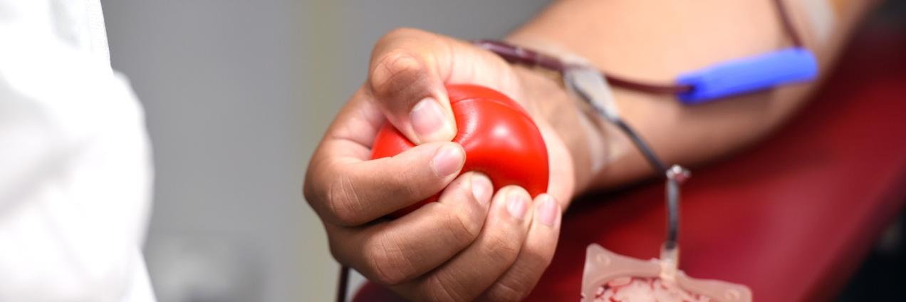 Una persona dona sangre en un hospital