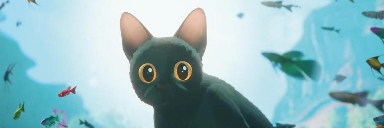 S S