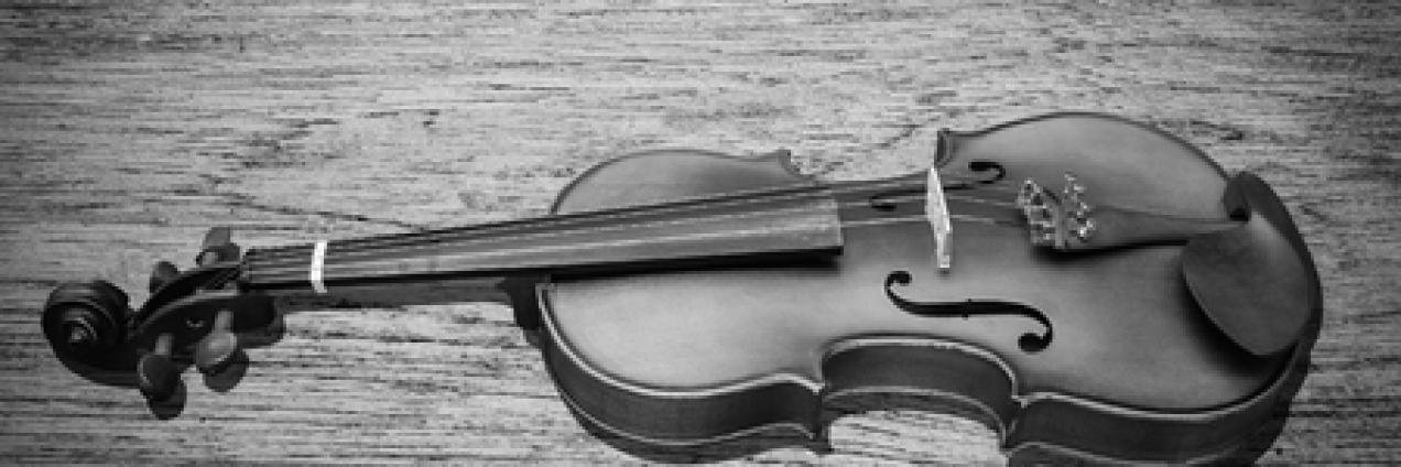 mus violin