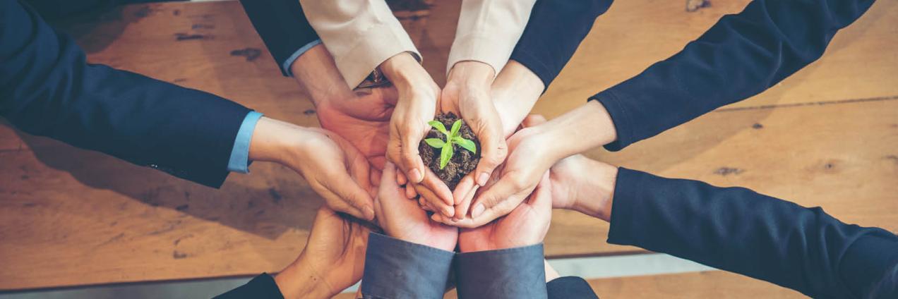 Imagen de manos sujetando una planta