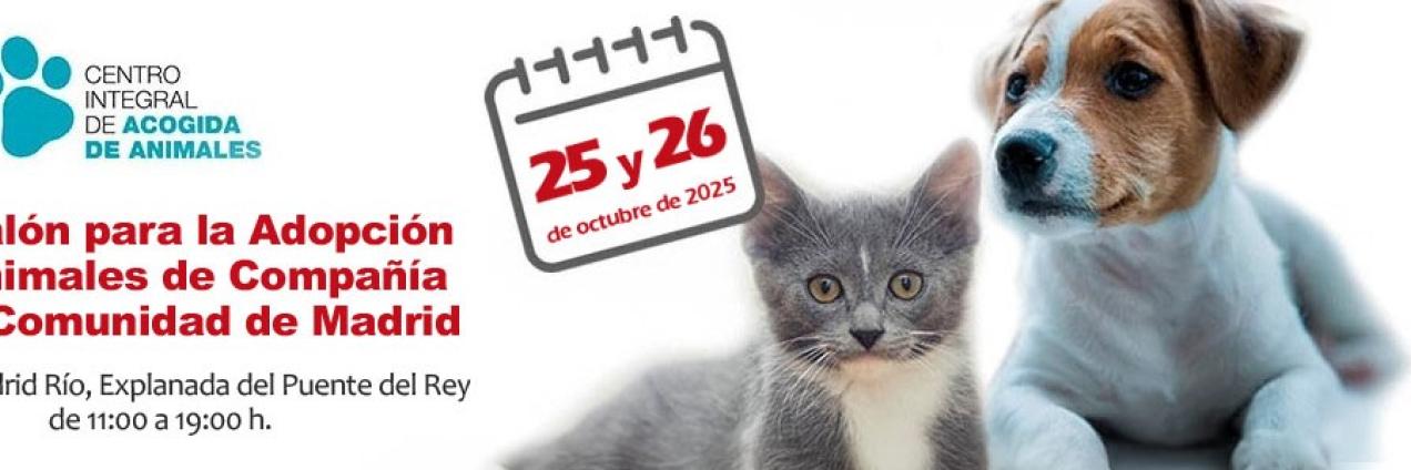 Banner Salon de la adopcion 2025