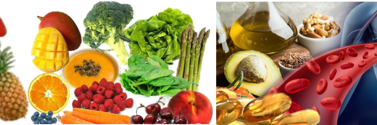 circulatorio_alimentacion