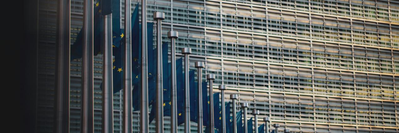 imagen parlamento europeo