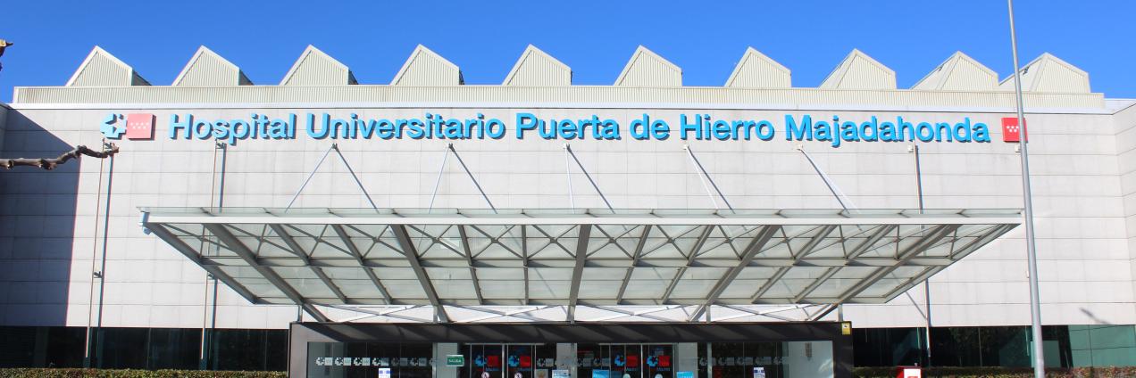 Puerta de hierro