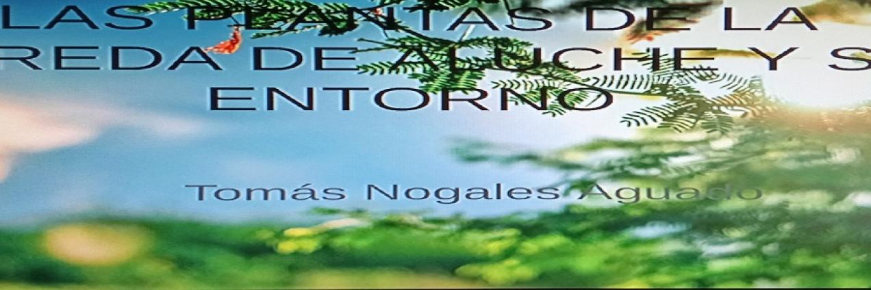 tomas nogales
