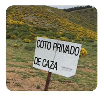 Actualización Cotos Privados